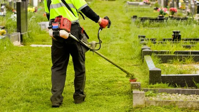 This image for Image Layouts addon